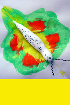 PICbutterfly